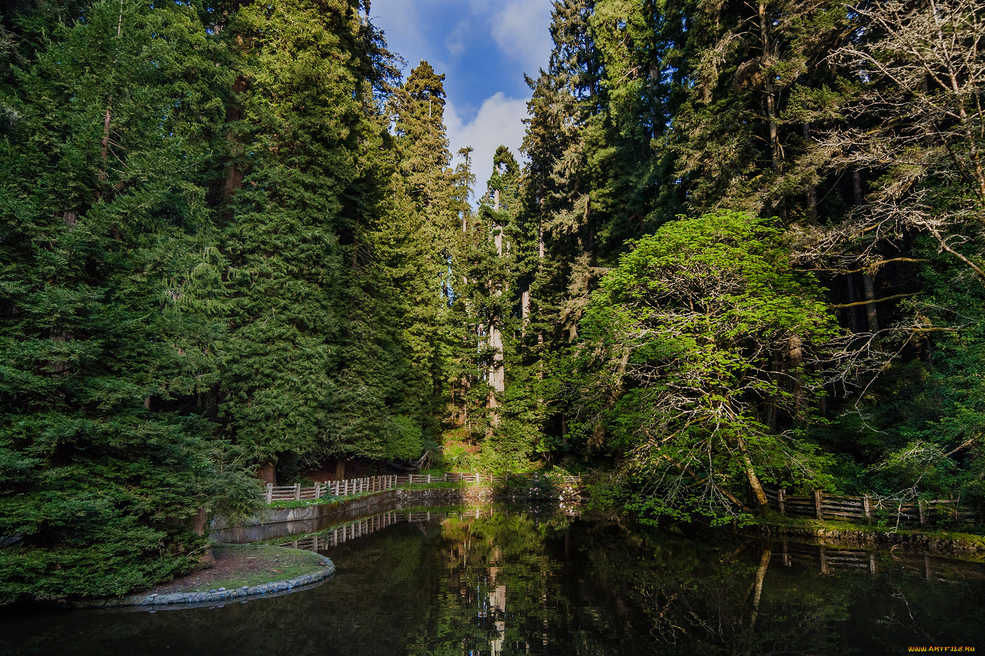 sequoia national park, , , park, national, sequoia, , , 